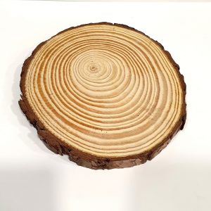 Round Wooden Slice Small