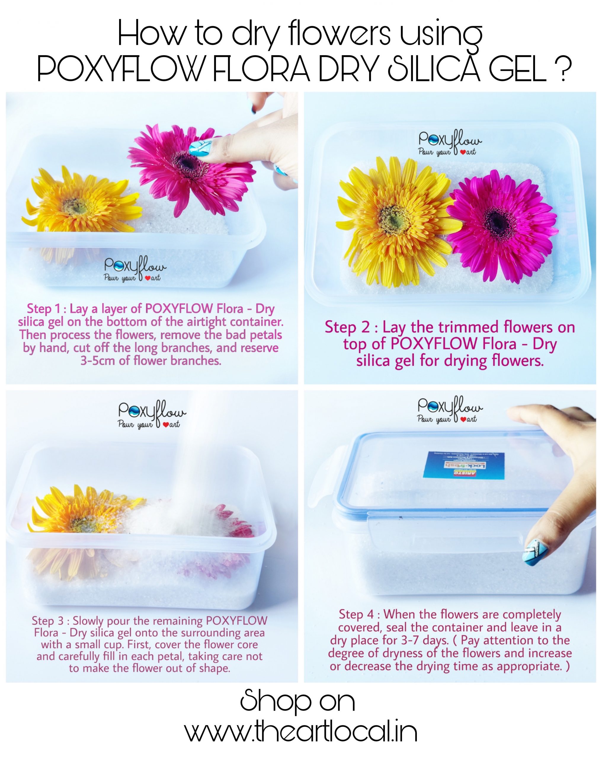 Drying Flowers with Silica Gel 