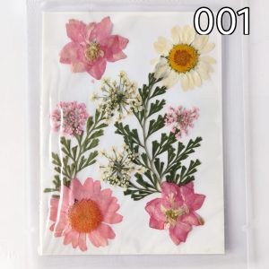 Dry Pressed Flowers – 10 in 1 – (01)