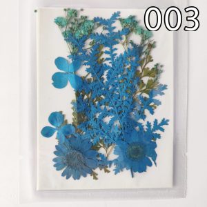Dry Pressed Flowers – 10 in 1 – (03)