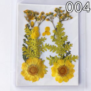 Dry Pressed Flowers – 10 in 1 – (04)