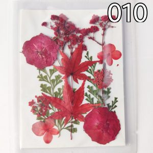 Dry Pressed Flowers – 12 in 1 – (010)