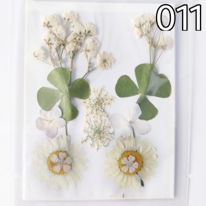 Dry Pressed Flowers – 12 in 1 – (011)