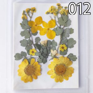 Dry Pressed Flowers – 12 in 1 – (012)