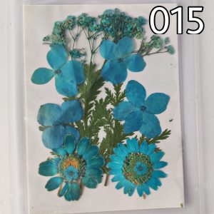 Dry Pressed Flowers – 12 in 1 – (015)